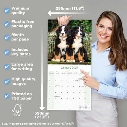 Avonside Berner Sennen Kalender 2027