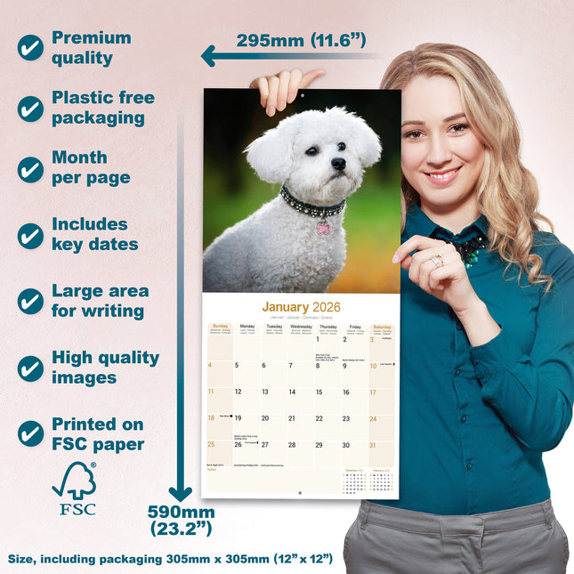 Avonside Bichon Frise Kalender 2026