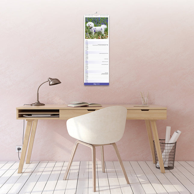 Avonside Bichon Frise Kalender 2026 Slimline