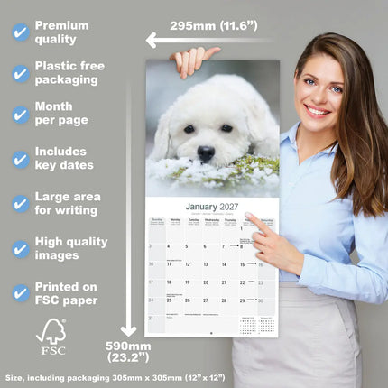 Avonside Bichon Frise Kalender 2027