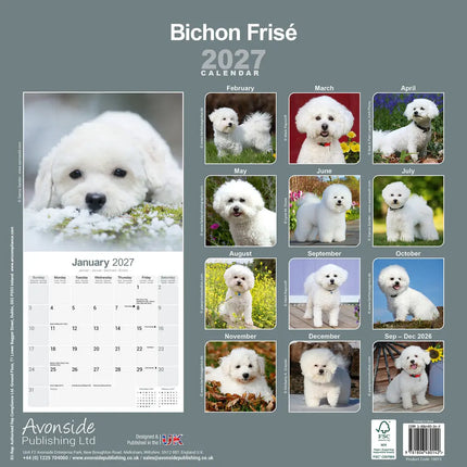 Avonside Bichon Frise Kalender 2027