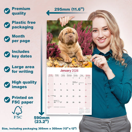 Avonside Bordeaux Dog Kalender 2026