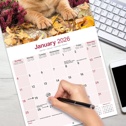 Avonside Bordeaux Dog Kalender 2026