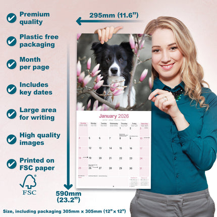 Avonside Border Collie Kalender 2026