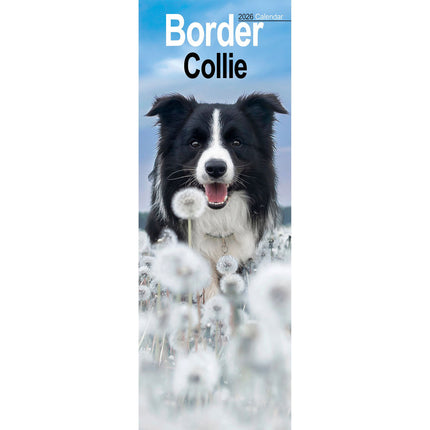 Avonside Border Collie Kalender 2026 Slimline