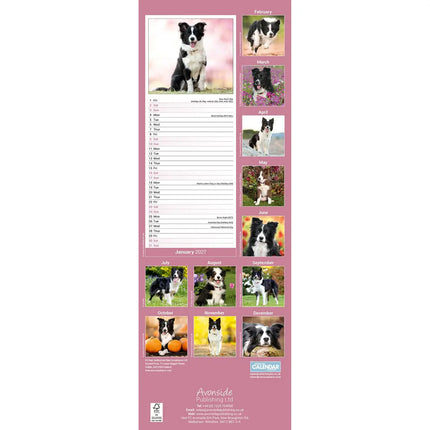Avonside Border Collie Kalender 2027 Slimline