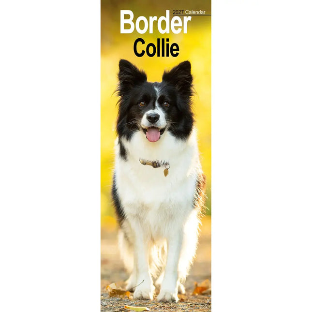 Avonside Border Collie Kalender 2027 Slimline