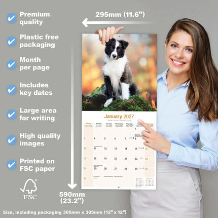 Avonside Border Collie Kalender Puppies 2027