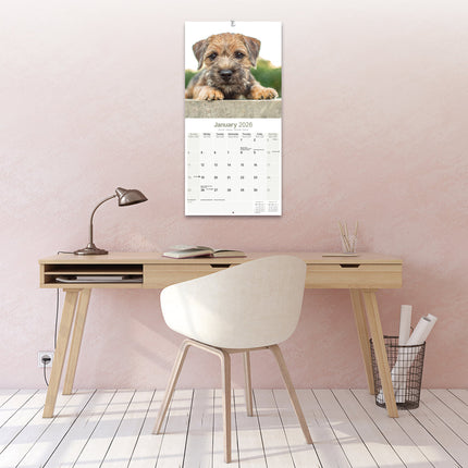 Avonside Border Terrier Kalender 2026