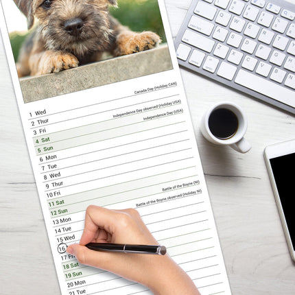 Avonside Border Terrier Kalender 2026 Slimline
