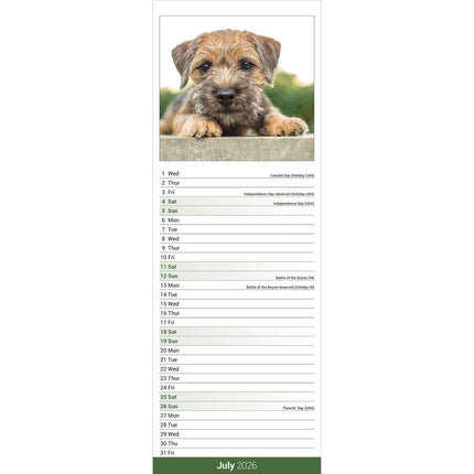 Avonside Border Terrier Kalender 2026 Slimline