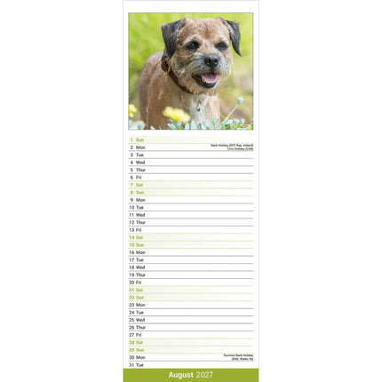 Avonside Border Terrier Kalender 2027 Slimline