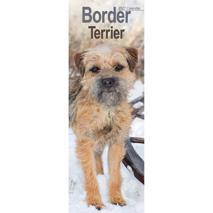Avonside Border Terrier Kalender 2027 Slimline