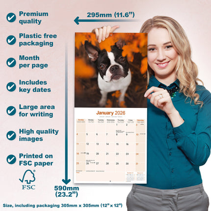 Avonside Boston Terrier Kalender 2026