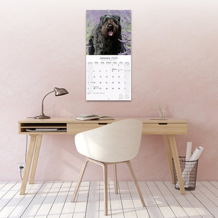 Avonside Bouvier Kalender 2026