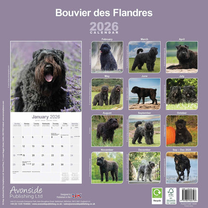 Avonside Bouvier Kalender 2026