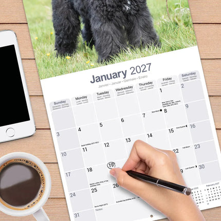 Avonside Bouvier Kalender 2027