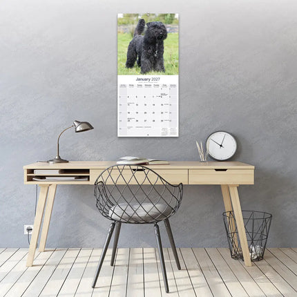 Avonside Bouvier Kalender 2027