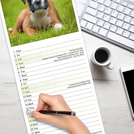 Avonside Boxer Kalender 2026 Slimline