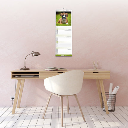 Avonside Boxer Kalender 2026 Slimline