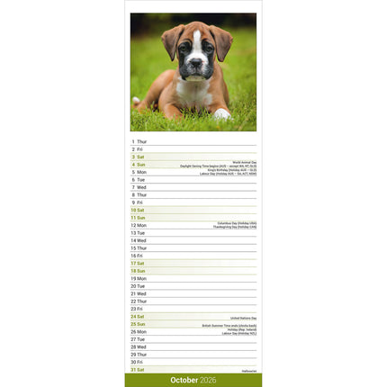 Avonside Boxer Kalender 2026 Slimline