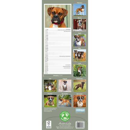 Avonside Boxer Kalender 2026 Slimline