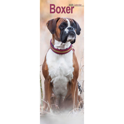 Avonside Boxer Kalender 2026 Slimline