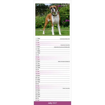 Avonside Boxer Kalender 2027 Slimline
