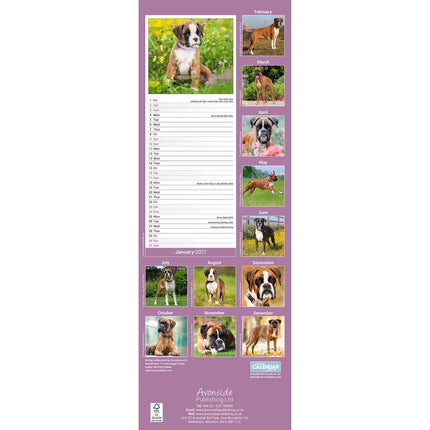 Avonside Boxer Kalender 2027 Slimline