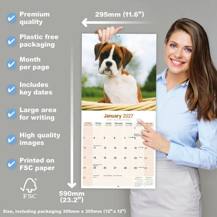 Avonside Boxer Puppies Kalender 2027