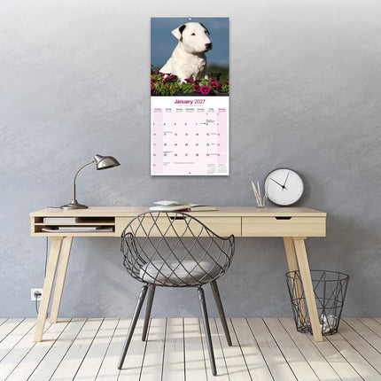 Avonside Bull Terrier Kalender 2027