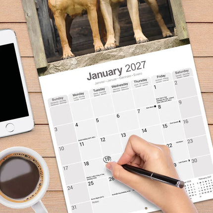 Avonside Bullmastiff Kalender 2027