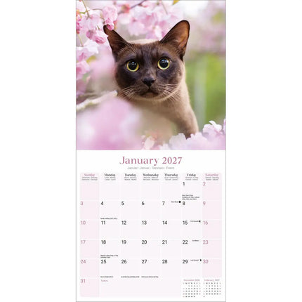 Avonside Burmees Kalender 2027