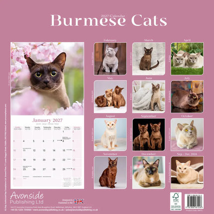 Avonside Burmees Kalender 2027