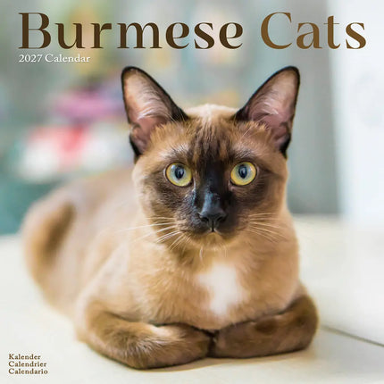 Avonside Burmees Kalender 2027