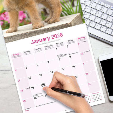 Avonside Cairn Terrier Kalender 2026