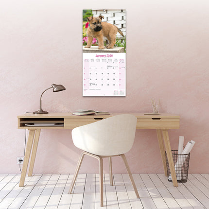 Avonside Cairn Terrier Kalender 2026
