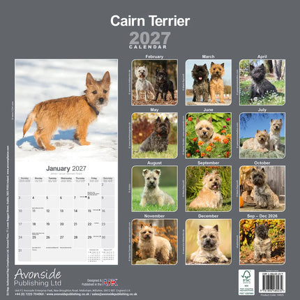 Avonside Cairn Terrier Kalender 2027