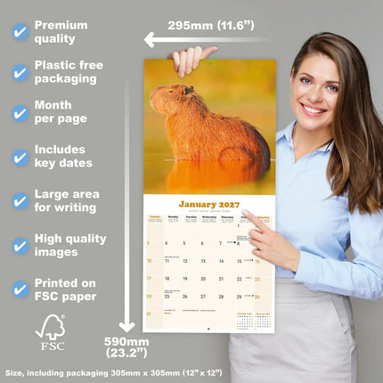 Avonside Capybara Kalender 2027