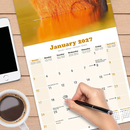 Avonside Capybara Kalender 2027