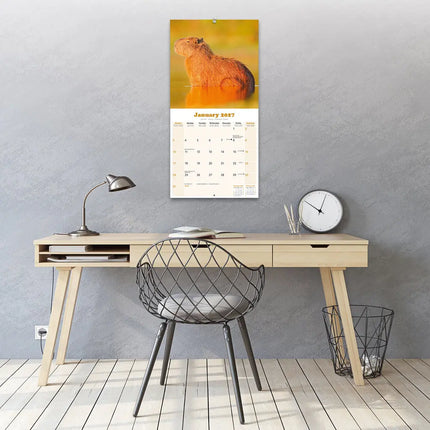 Avonside Capybara Kalender 2027