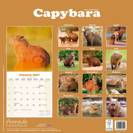 Avonside Capybara Kalender 2027