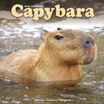 Avonside Capybara Kalender 2027