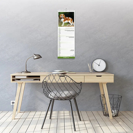 Avonside Cavalier King Charles Slimline Kalender 2027