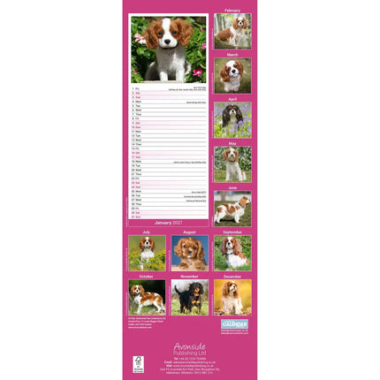 Avonside Cavalier King Charles Slimline Kalender 2027