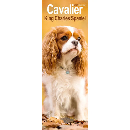 Avonside Cavalier King Charles Slimline Kalender 2027