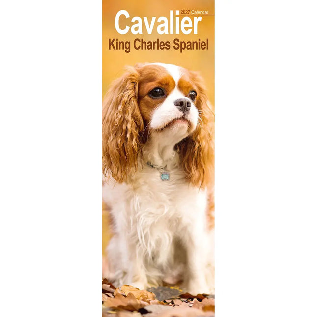 Avonside Cavalier King Charles Slimline Kalender 2027