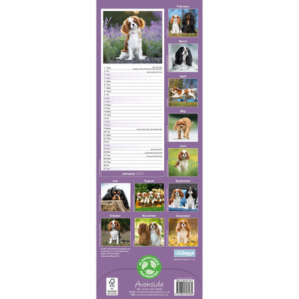 Avonside Cavalier King Charles Spaniel Kalender 2026 Slimline