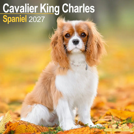 Avonside Cavalier King Charles Spaniel Kalender 2027