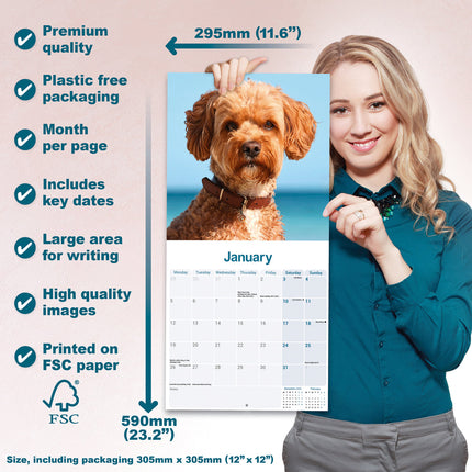 Avonside Cavapoo Kalender 2026
